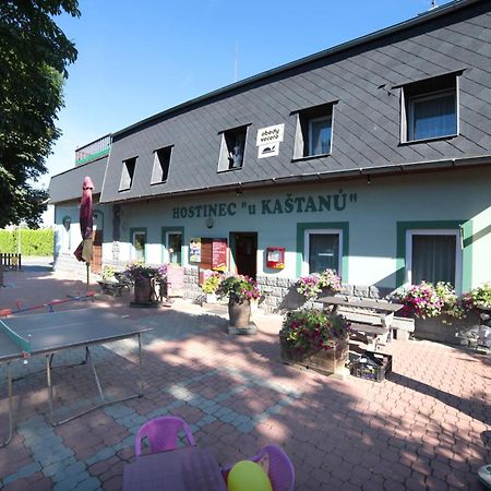 Pension U Kastanu Karlovy Vary Exterior foto