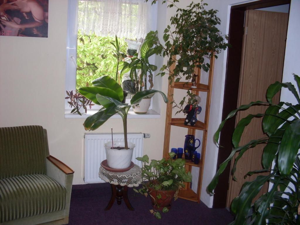 Pension U Kastanu Karlovy Vary Habitación foto