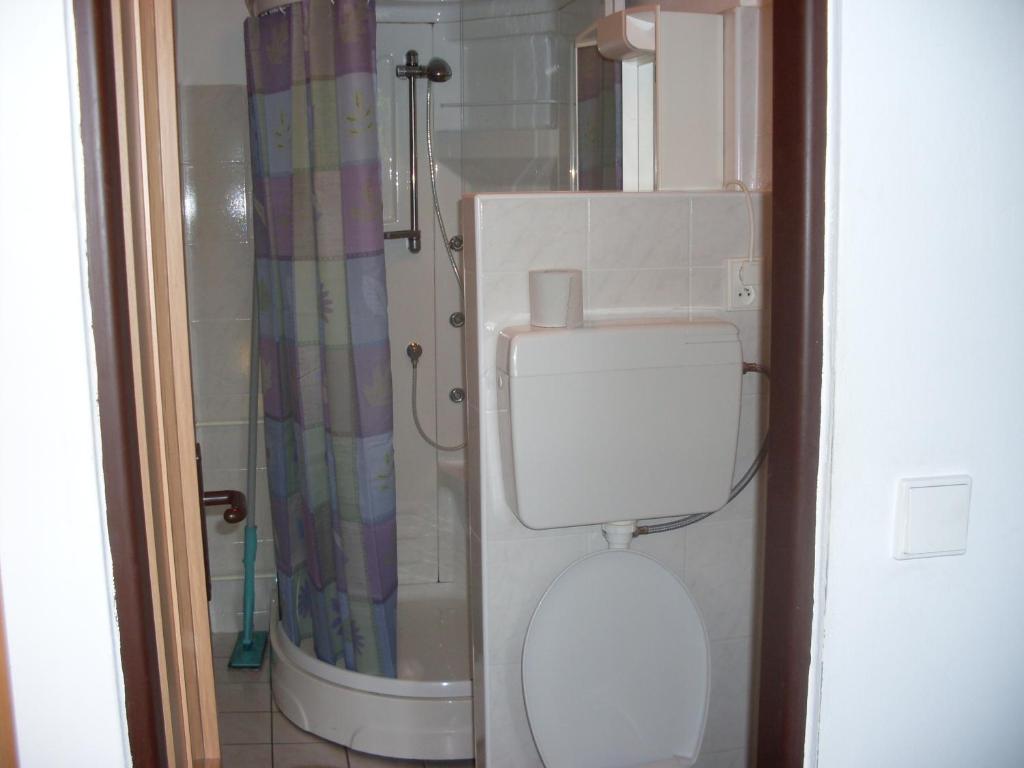Pension U Kastanu Karlovy Vary Habitación foto
